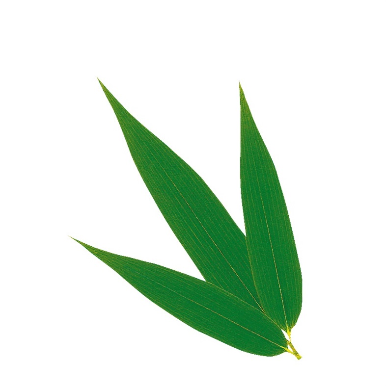 楽天市場】【バラ販売】グルメシート 抗菌 大葉 丸（約80φ）（1箱