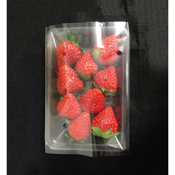 【送料無料/新品】 楽天市場】不織布ダシとり袋 25X35(1袋/100枚入 日用品