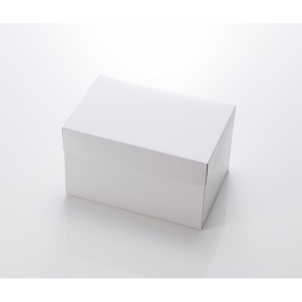 【入れもの売りわたす】西洋菓子箱 無地西洋菓子箱 ６個入（1入れもの/250枚入）4573101530456
