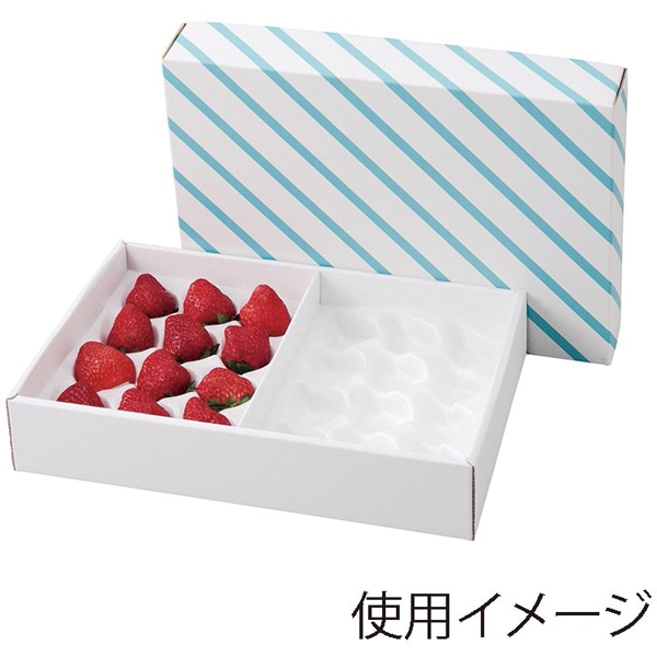 【ケース販売】いちご用ギフト箱　Ｌ&minus;２２５１　イチゴクッション２Ｐ　カブセ箱（1ケース/50セット入）4525241214543｜PACKGARAGE