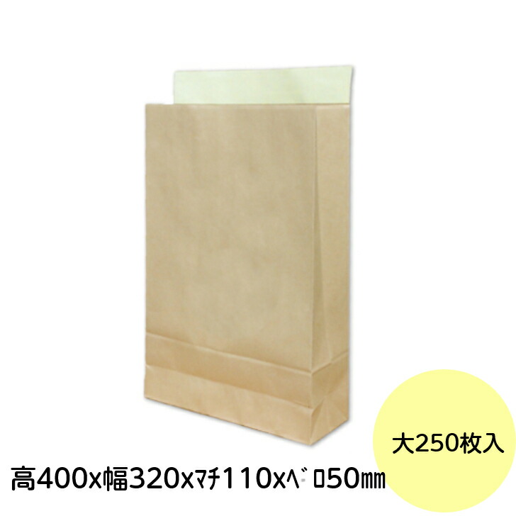 【250枚入り口・入口】 宅配袋 大 手工芸品色 磁気テープ付 荷拵え袋 250枚 荷拵え原材料 のみの市 適用業務 オーク材ション 電子メイル便 紙袋 メルカリ  1入れもの 貨物輸送無料