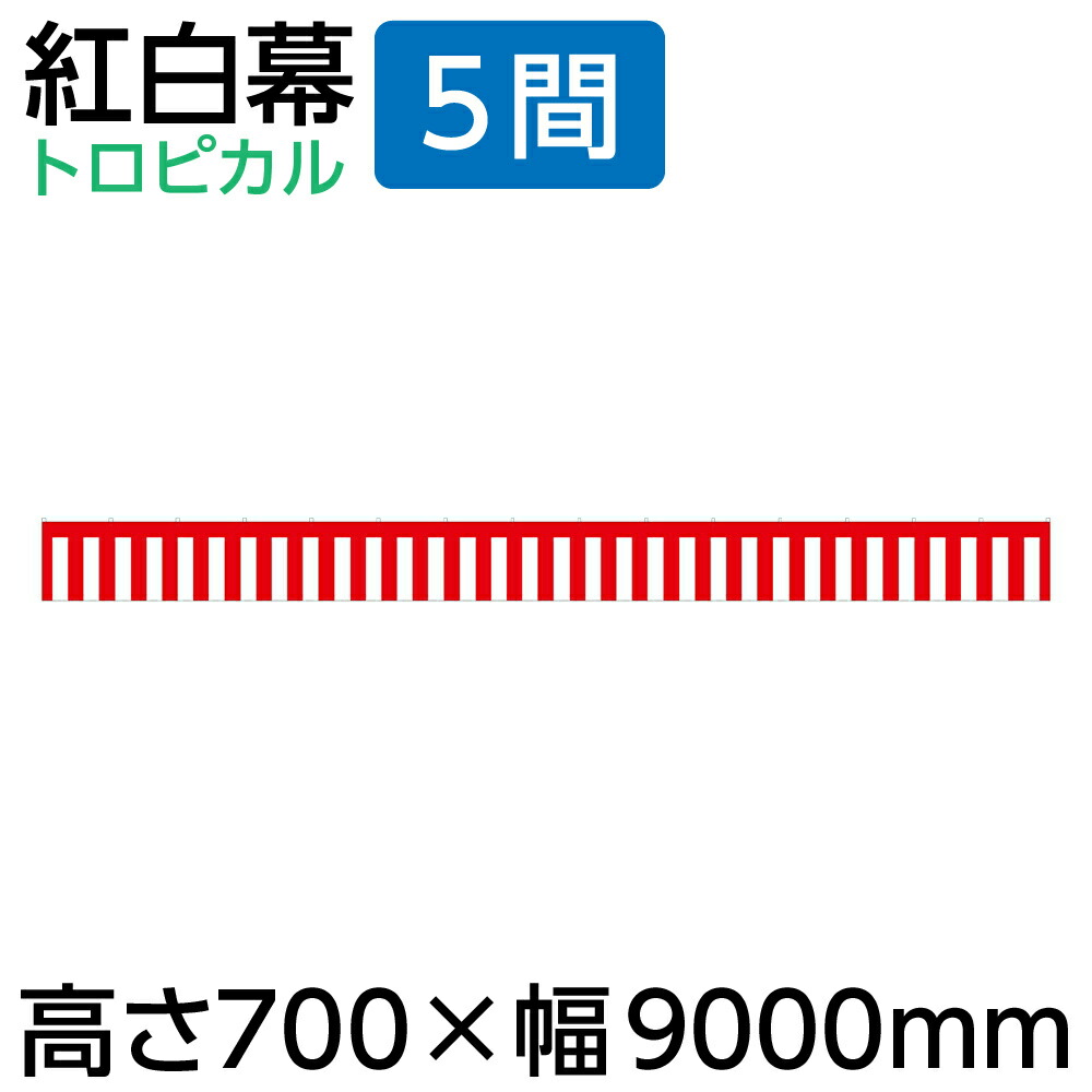 【魚酔】晩秋セール★ 厳つい紅白 2才 58cm 24-5