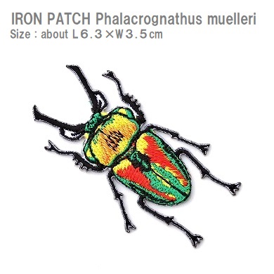 楽天市場】ワッペン オオクワガタ 全長7.9×最大横幅7.3cm前後