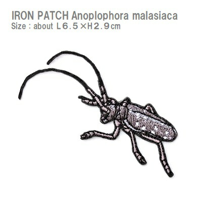 【楽天市場】ワッペン ゴマダラカミキリムシ 全長5.2×体高2.9cm前後 《刺繍ワッペン アイロンワッペン アップリケ 昆虫ワッペン 男の子