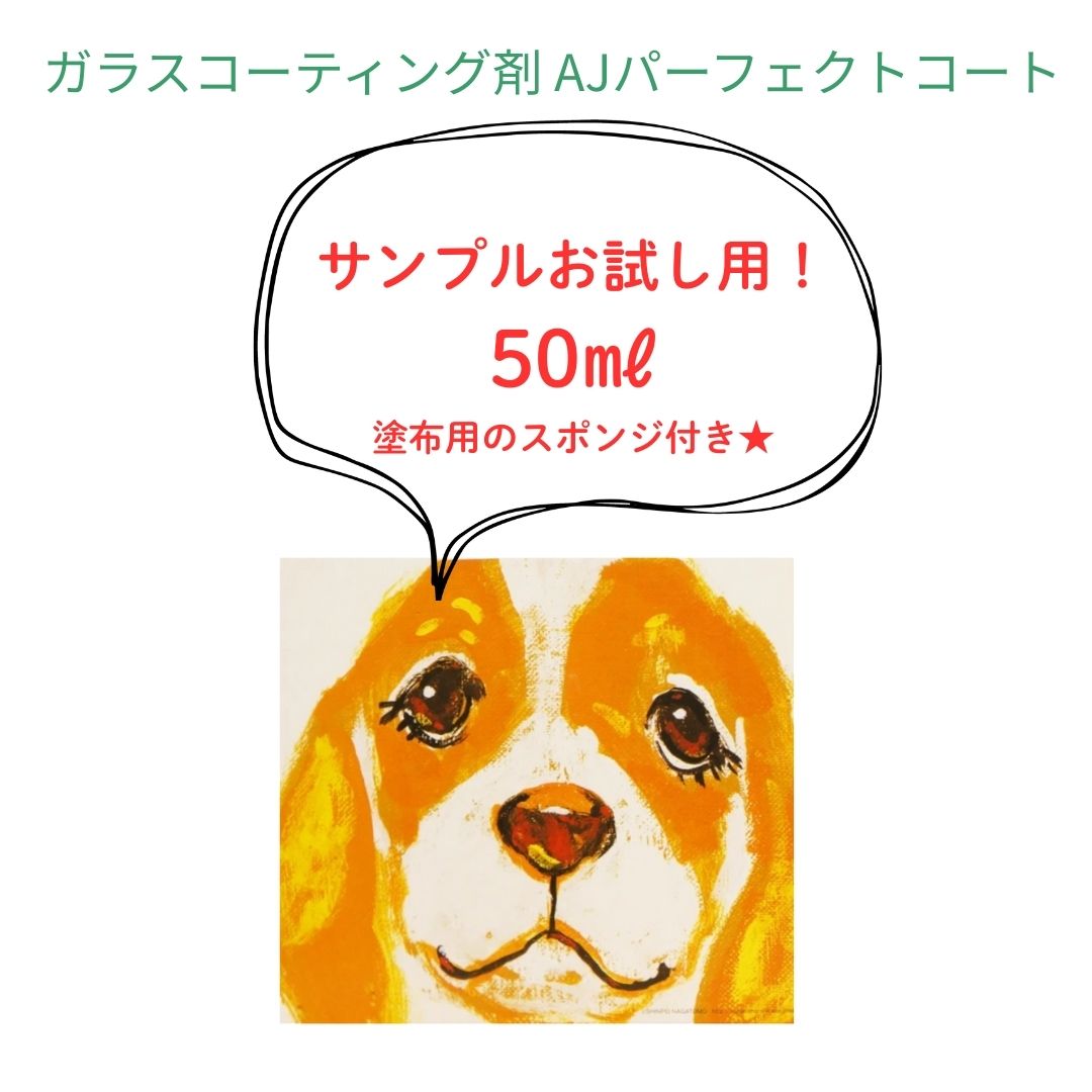 楽天市場】【愛犬家の床に】 AJパーフェクトコートセット 500ml ＜透明