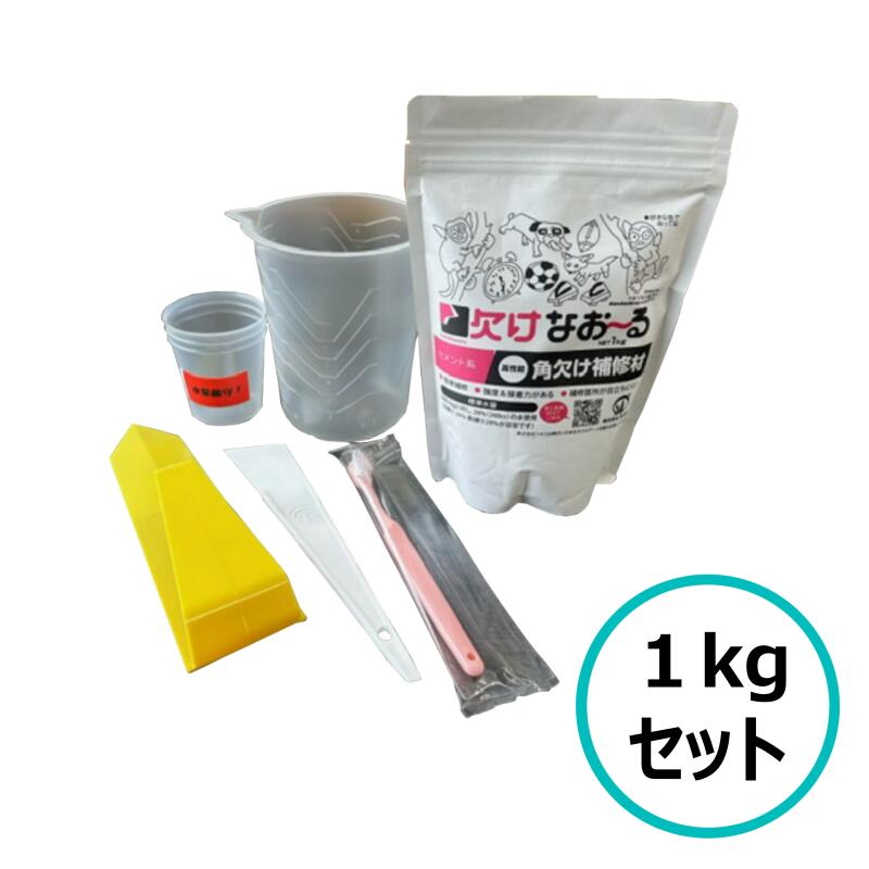 楽天市場】セメント系超速硬性補修材 あなうめーる 1kg 施工キット付