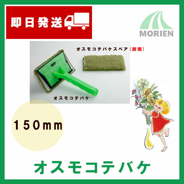 楽天市場 即日出荷 オスモコテバケ 150mm 1セット 柄一本 ハケ1個 オスモ エーデル ステイン専用コテバケ Osmo おすも ペンキ屋モリエン