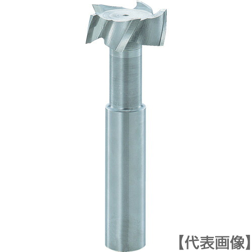 ＦＫＤ Ｔスロットエンドミル３０×８（TSE30X8）261-4731 【フクダ精工（株）】 花・ガーデン・DIY-その他
