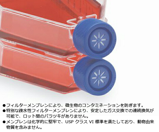 差し上げ物寄せあわせ