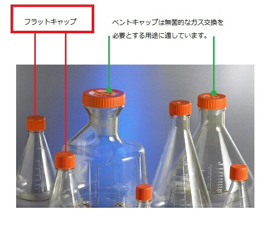 差し上げ物寄せあわせ