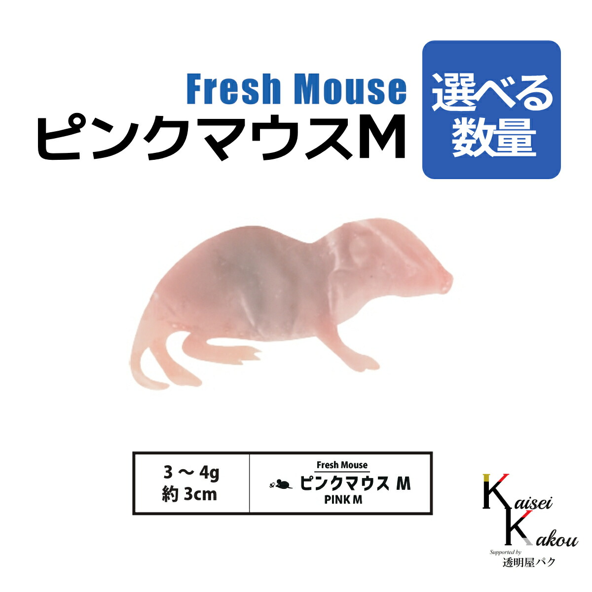 楽天市場】「アダルトラットXL 55匹 Biokimia 」 約22cm〜 300〜400g