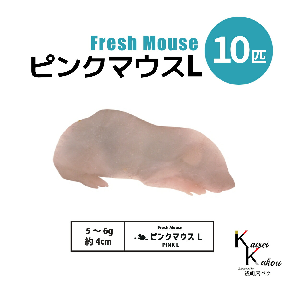楽天市場】「ピンクマウスL 10匹(1袋) Biokimia 」 約4cm 5~6g 冷凍