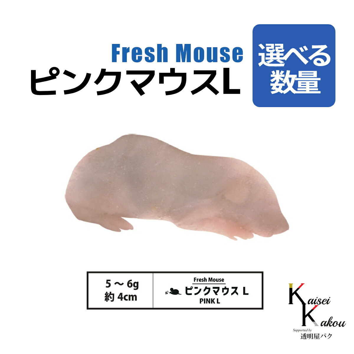 楽天市場】「リタイア 45匹 Biokimia 」 約10cm 40g+ 冷凍マウス 冷凍