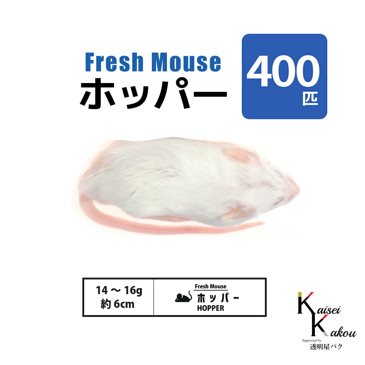 差し上げ物寄せあわせ ペット・ペットグッズ-爬虫類・両生類-エサ