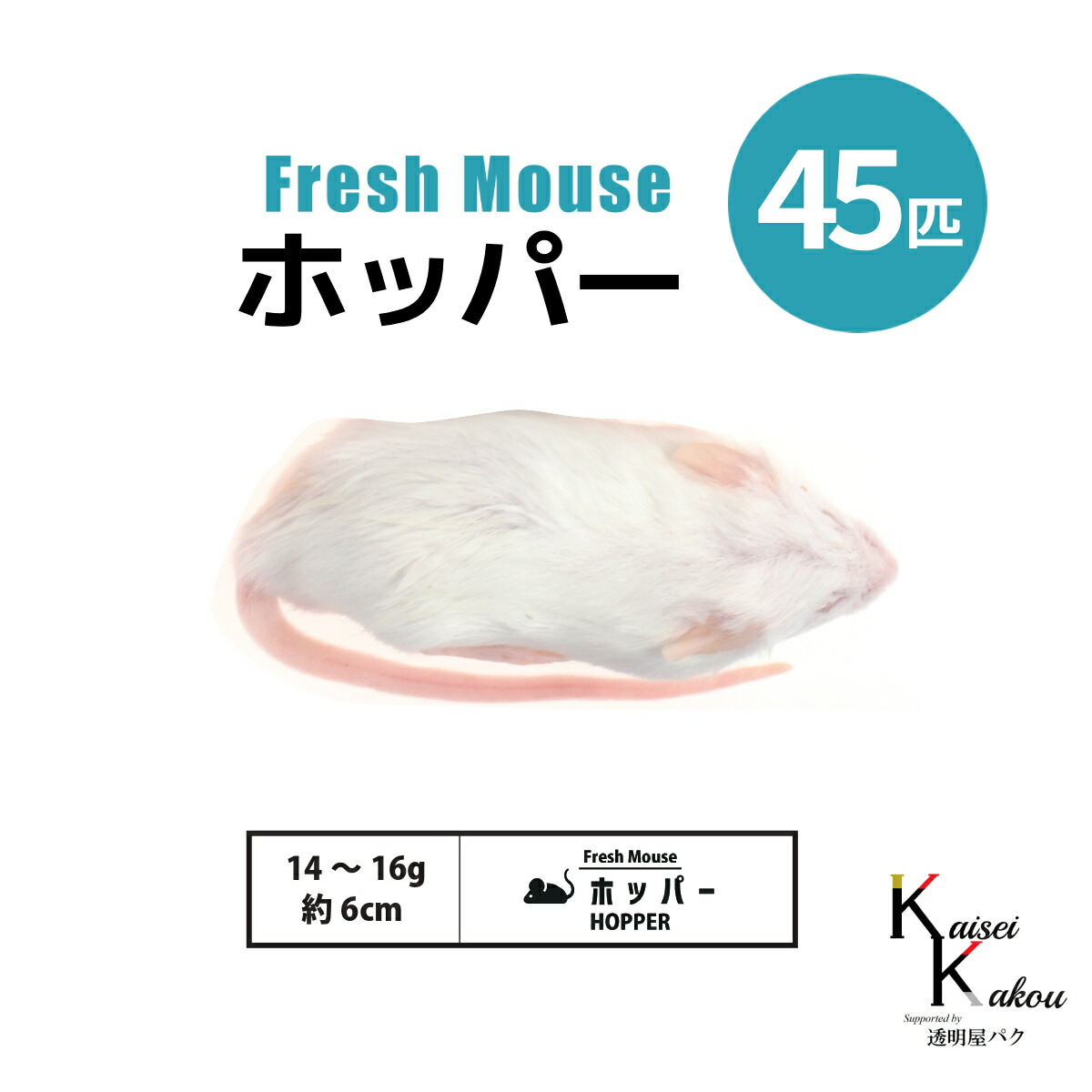 楽天市場】「ホッパー 選べる数量 Biokimia 」 約6cm 14〜16g 冷凍