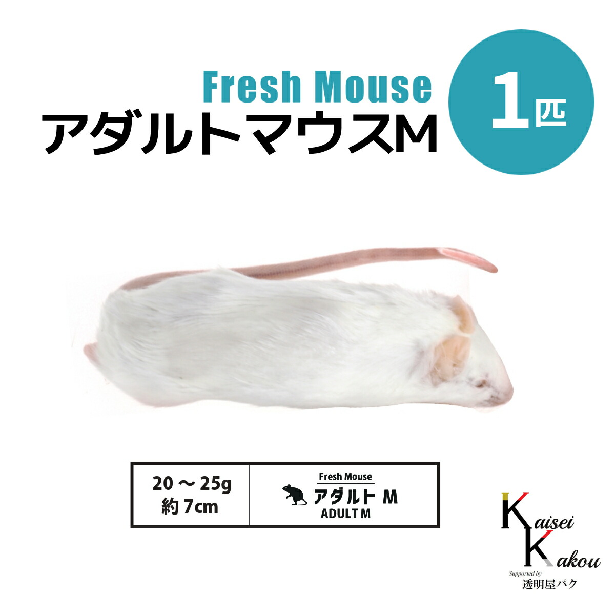 送料無料 冷凍マウスアダルトＬ20匹 ホッパー20匹 国産冷凍マウス ホッパーL20匹 (送料無料一部地域発送不可