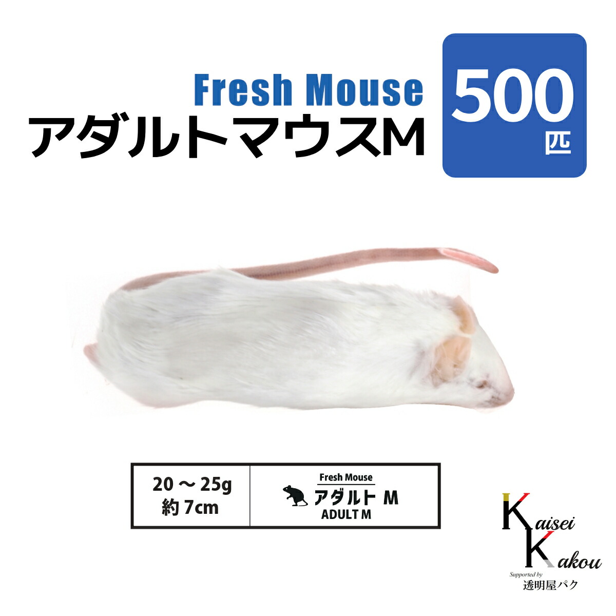 「アダルトマウスM 500匹(50袋) Biokimia 」 約7cm 20～25g 冷凍マウス 冷凍ラット フレッシュマウス フレッシュラット 冷凍餌 エサ えさ 爬虫類 両生類 猛禽類 大型魚 大型肉食魚｜カイセイ加工（透明屋パク）