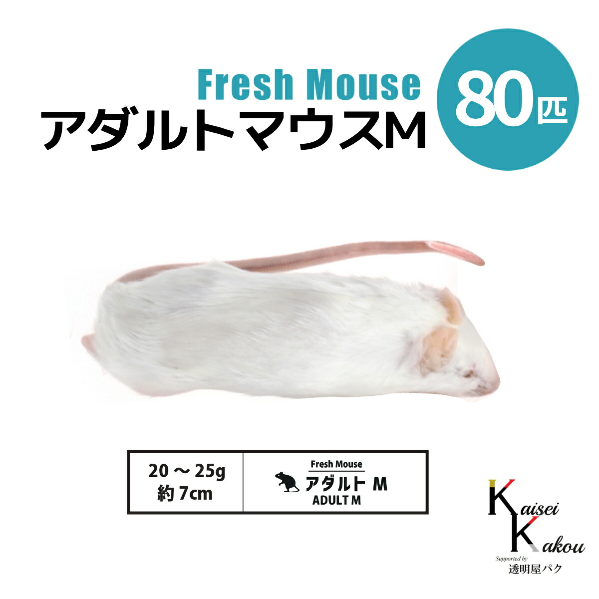 「アダルトマウスM 80匹(8袋) Biokimia 」 約7cm 20~25g 冷凍マウス 冷凍ラット フレッシュマウス フレッシュラット 冷凍餌 エサ えさ 爬虫類 両生類 猛禽類 大型魚 大型肉食魚|カイセイ加工(透明屋パク)