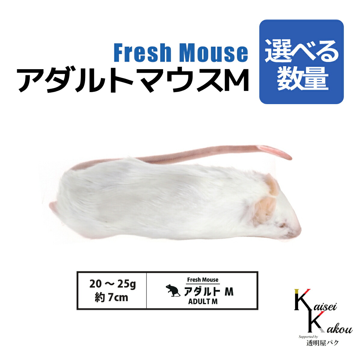 楽天市場】「アダルトマウスM 450匹(45袋) Biokimia 」 約7cm 20〜25g