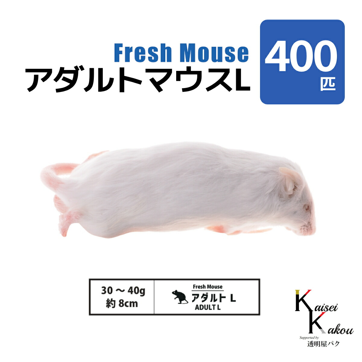 楽天市場】「アダルトマウスL 選べる数量 Biokimia 」 約8cm 30~40g