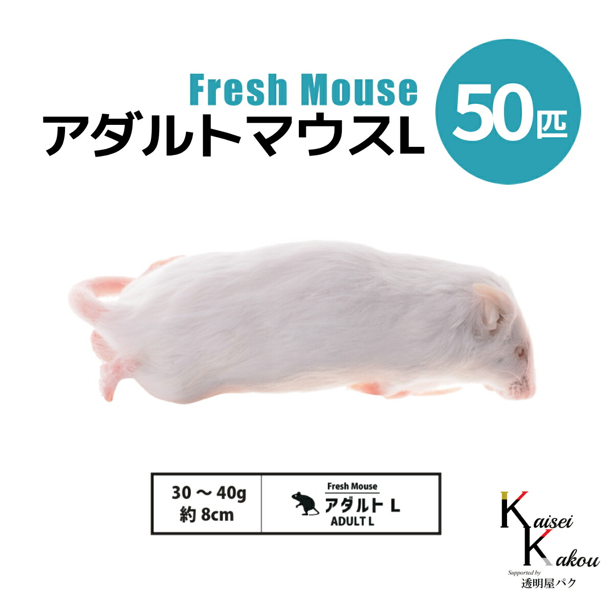 「アダルトマウスL 50匹(5袋) Biokimia 」 約8cm 30~40g 冷凍マウス 冷凍ラット フレッシュマウス フレッシュラット 冷凍餌 エサ えさ 爬虫類 両生類 猛禽類 大型魚 大型肉食魚|カイセイ加工(透明屋パク)