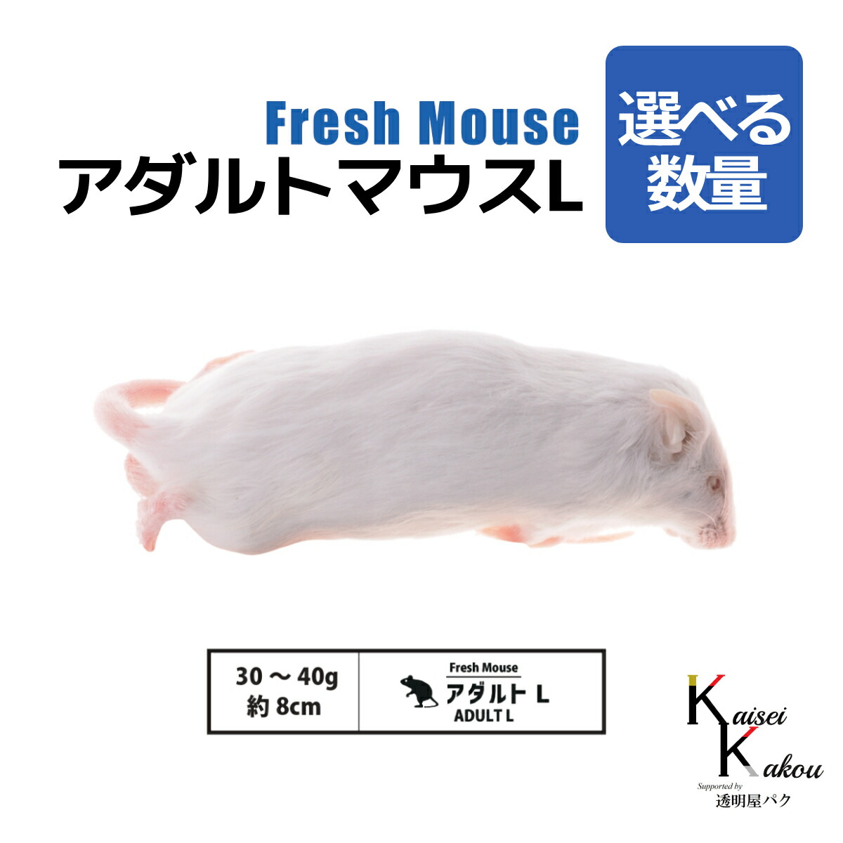 ★たまごっち★国産 冷凍マウスアダルトLL 40匹(一部地域発送不可 Amazon | ZAZOO 冷凍マウス アダルトLL 10匹 35.1〜40g 約9.5cm