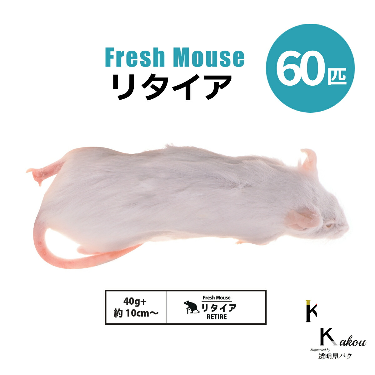 差し上げ物寄せあわせ ペット・ペットグッズ-爬虫類・両生類-エサ