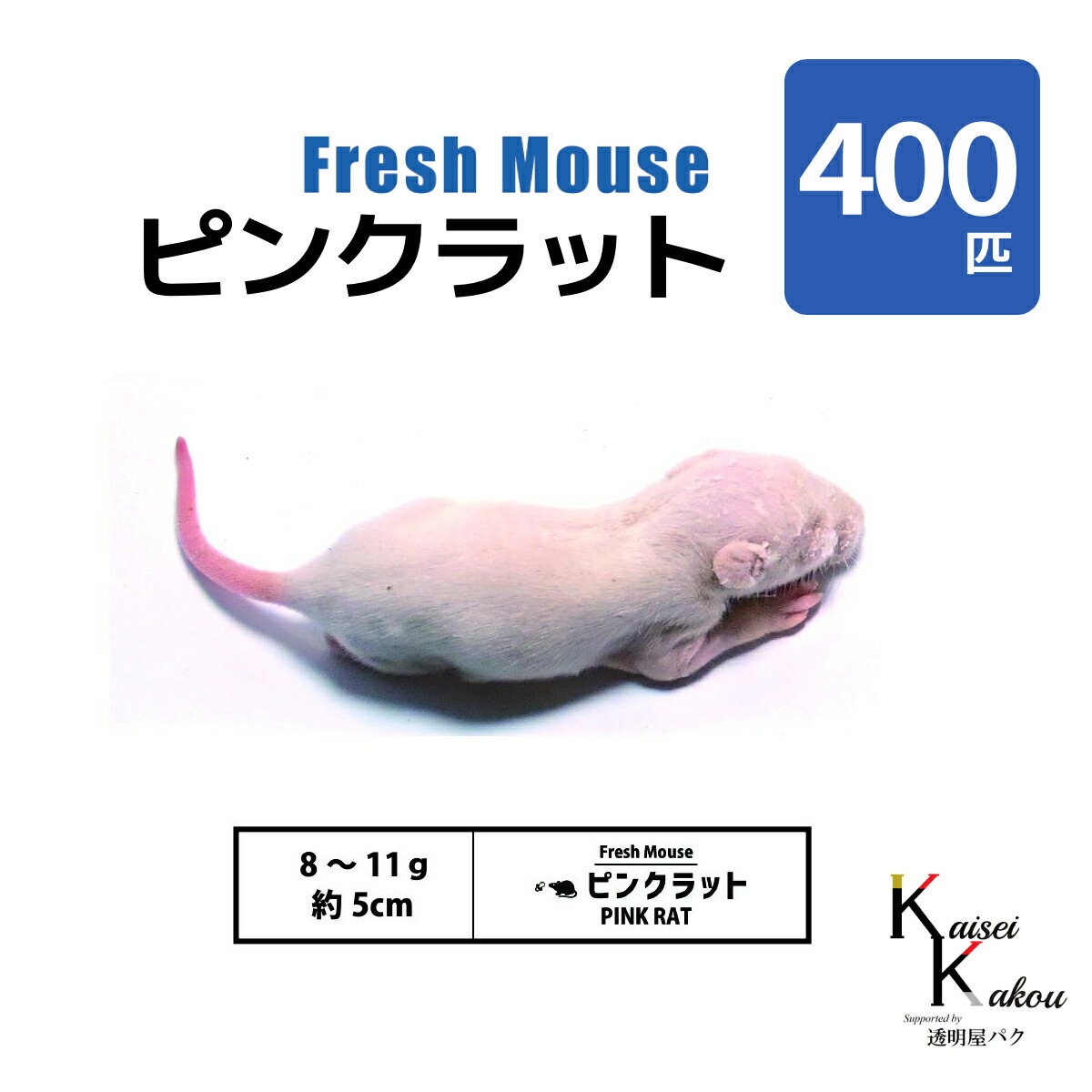 「ピンクラット 400匹(40袋) Biokimia 」 約5cm 8~11g 冷凍マウス 冷凍ラット フレッシュマウス フレッシュラット 冷凍餌 エサ えさ 爬虫類 両生類 猛禽類 大型魚 大型肉食魚|カイセイ加工(透明屋パク)