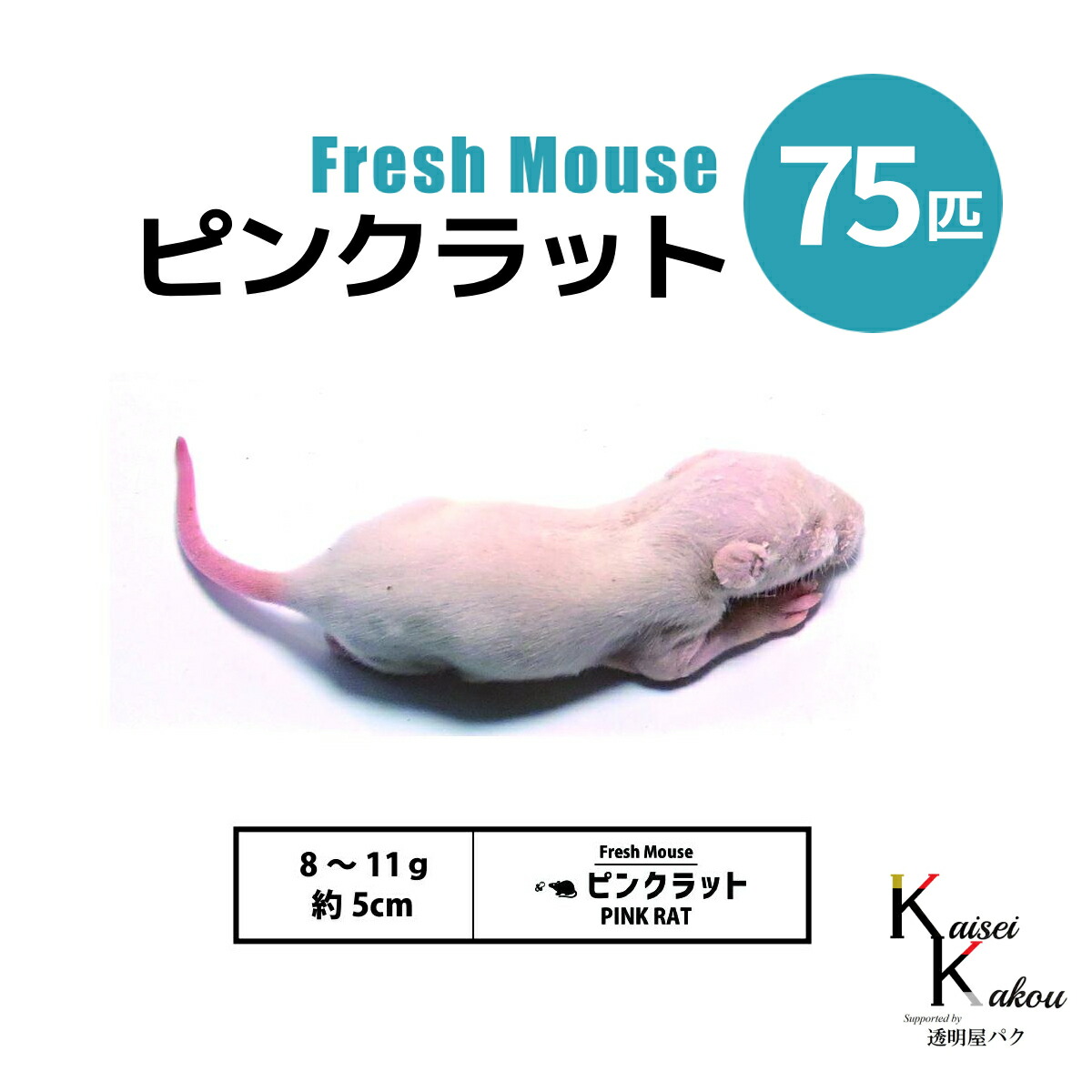 楽天市場】「ピンクラット 55匹 Biokimia 」 約5cm 8〜11g 冷凍マウス