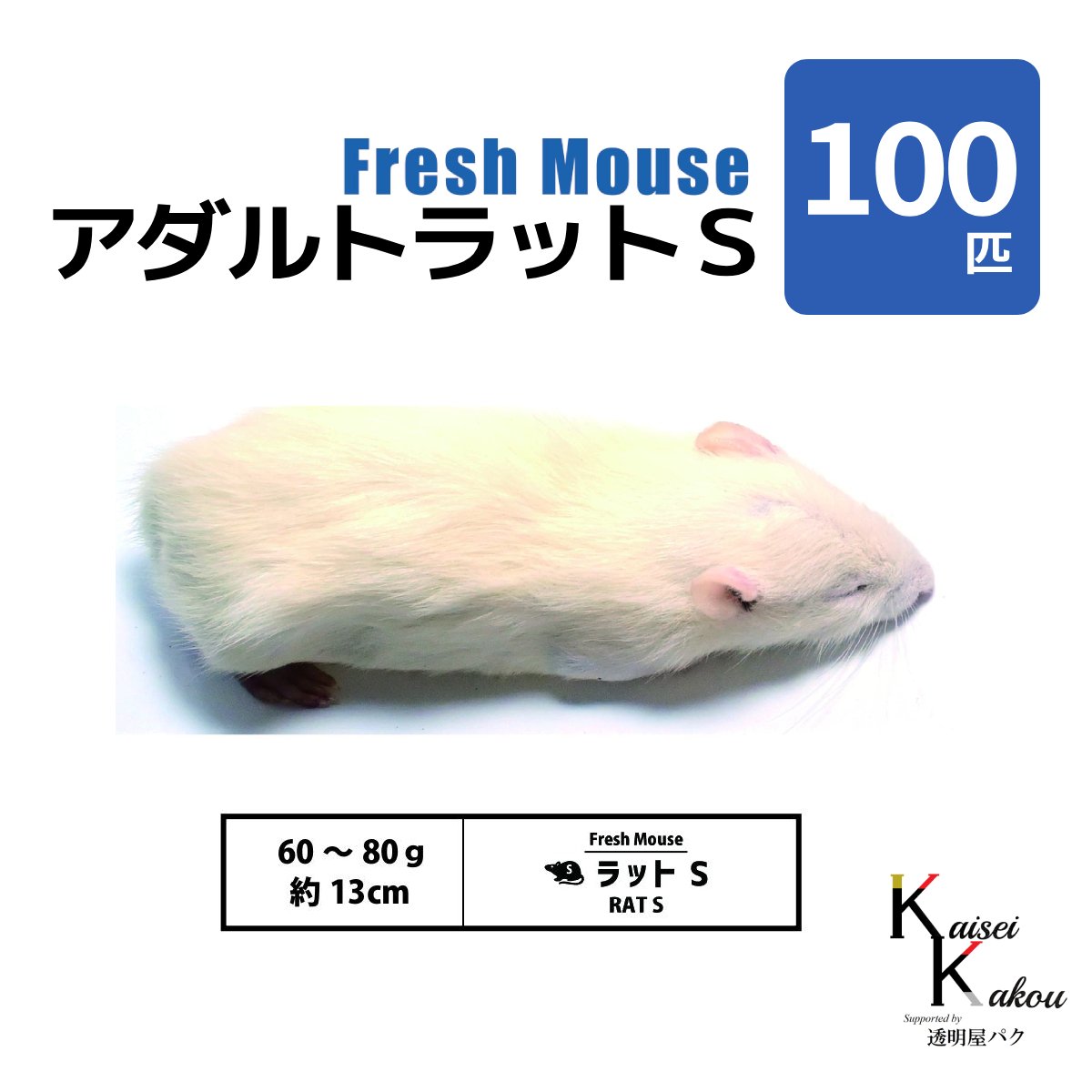 楽天市場】「アダルトラットS 20匹 Biokimia 」 約13cm 60〜80g 冷凍