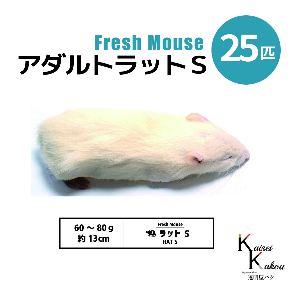 「アダルトラットS 25匹 Biokimia 」 約13cm 60~80g 冷凍マウス 冷凍ラット フレッシュマウス フレッシュラット 冷凍餌 エサ えさ 爬虫類 両生類 猛禽類 大型魚 大型肉食魚|カイセイ加工(透明屋パク)