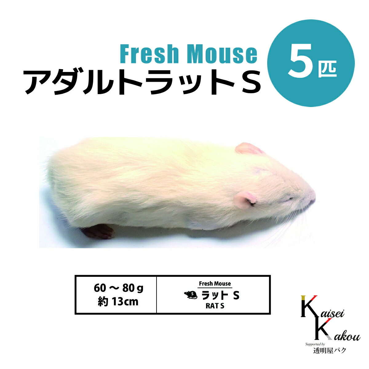 楽天市場】「アダルトラットS 20匹 Biokimia 」 約13cm 60〜80g 冷凍