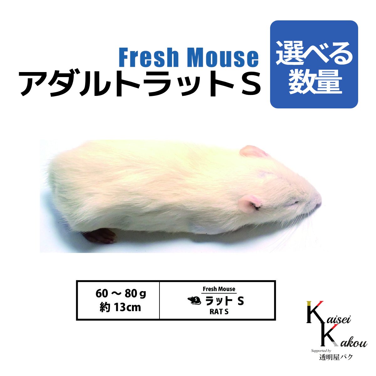 楽天市場】「アダルトラットL 95匹 Biokimia 」 約18cm 180〜220g 冷凍