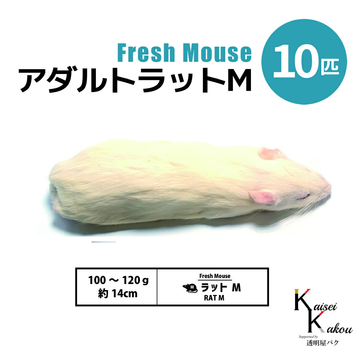 楽天市場】「アダルトラットS 20匹 Biokimia 」 約13cm 60〜80g 冷凍