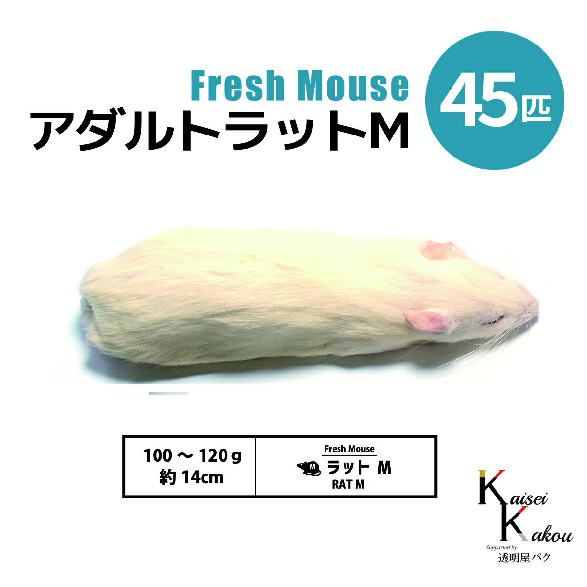 楽天市場】「アダルトラットML 5匹 Biokimia 」 約16cm 140〜160g 冷凍