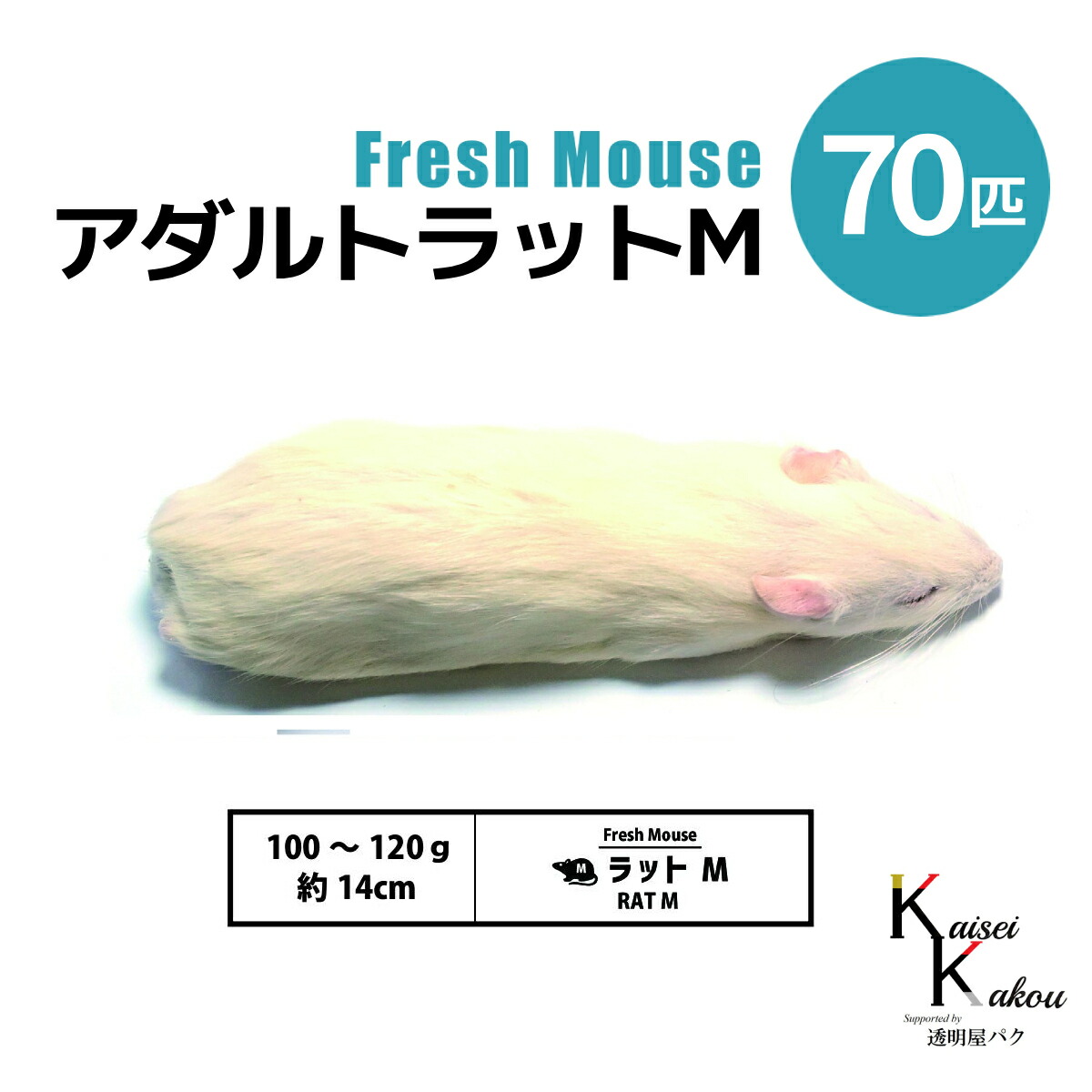 差し上げ物寄せあわせ 爬虫類・両生類-エサ-ペット・ペットグッズ