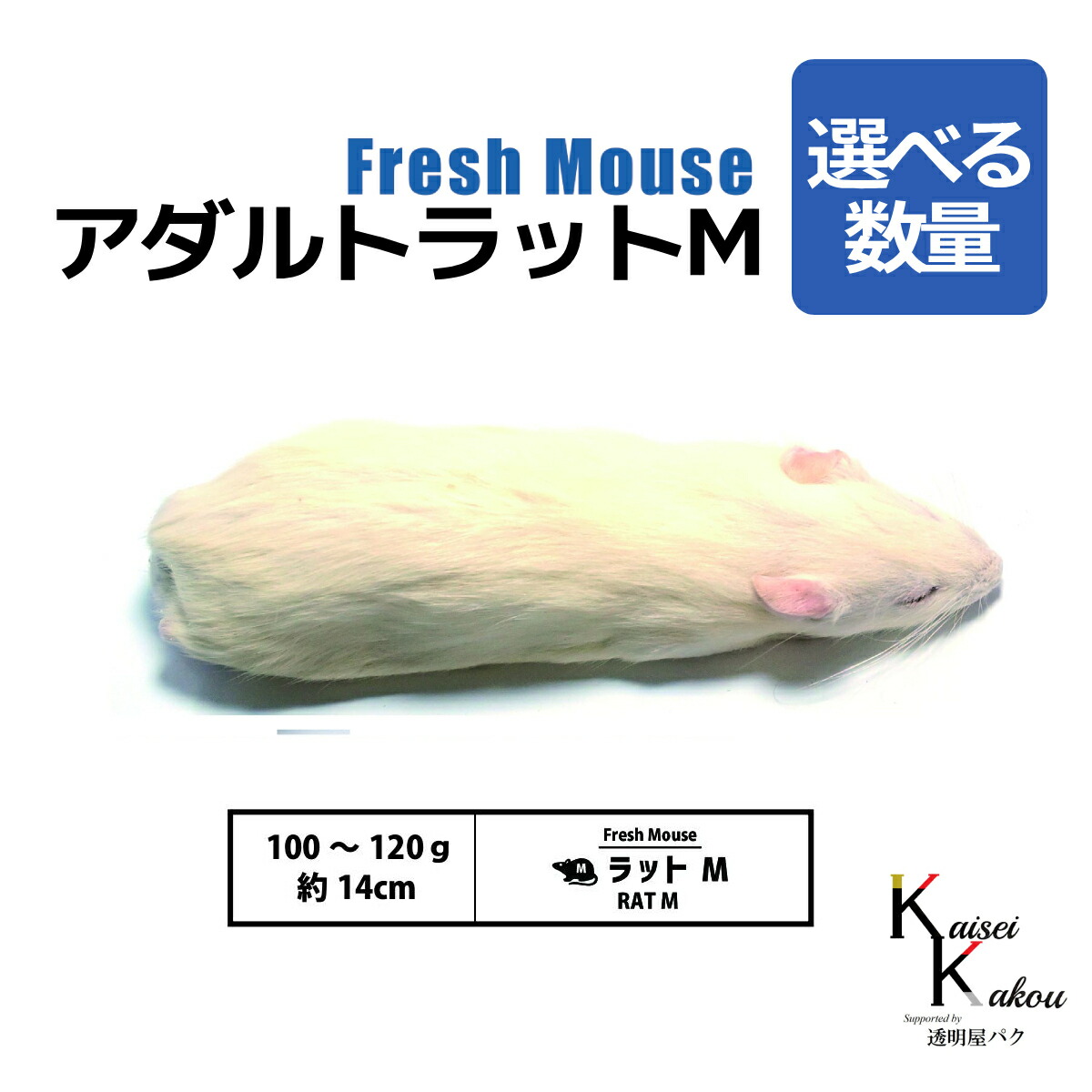 楽天市場】「アダルトラットML 5匹 Biokimia 」 約16cm 140〜160g 冷凍