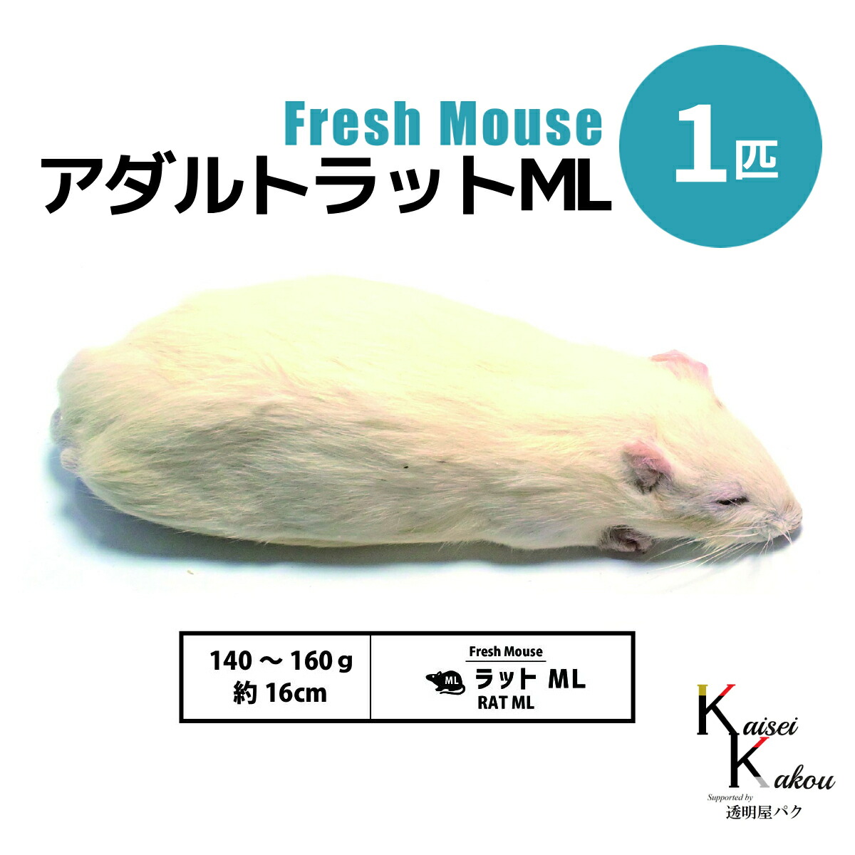 楽天市場】「アダルトラットML 5匹 Biokimia 」 約16cm 140〜160g 冷凍