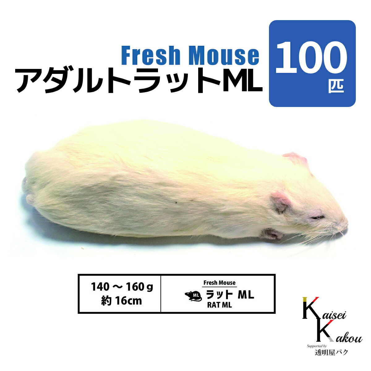 「アダルトラットML 100匹 Biokimia 」 約16cm 140～160g 冷凍マウス 冷凍ラット フレッシュマウス フレッシュラット 冷凍餌 エサ えさ 爬虫類 両生類 猛禽類 大型魚 大型肉食魚｜カイセイ加工（透明屋パク）