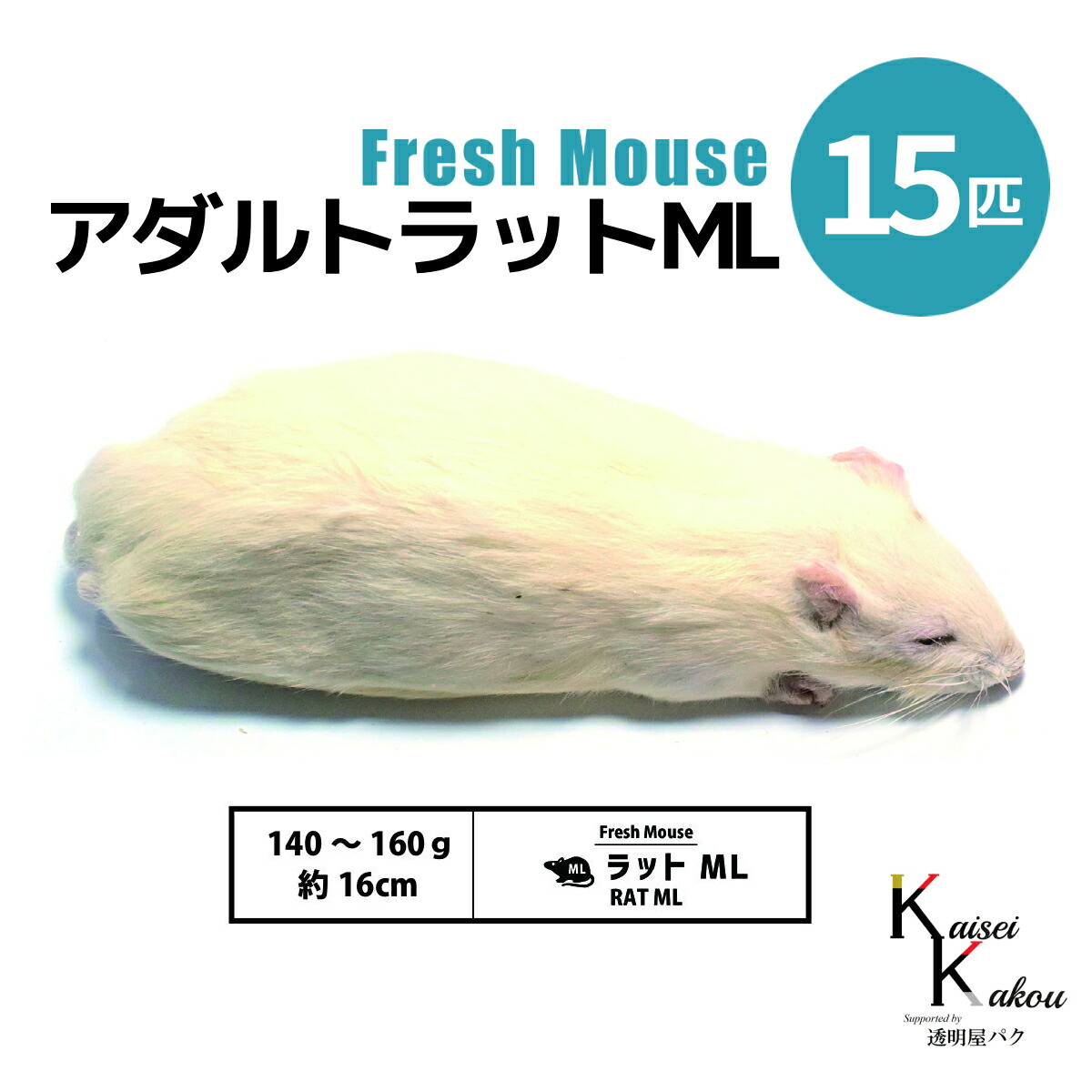 「アダルトラットML 15匹 Biokimia 」 約16cm 140~160g 冷凍マウス 冷凍ラット フレッシュマウス フレッシュラット 冷凍餌 エサ えさ 爬虫類 両生類 猛禽類 大型魚 大型肉食魚|カイセイ加工(透明屋パク)