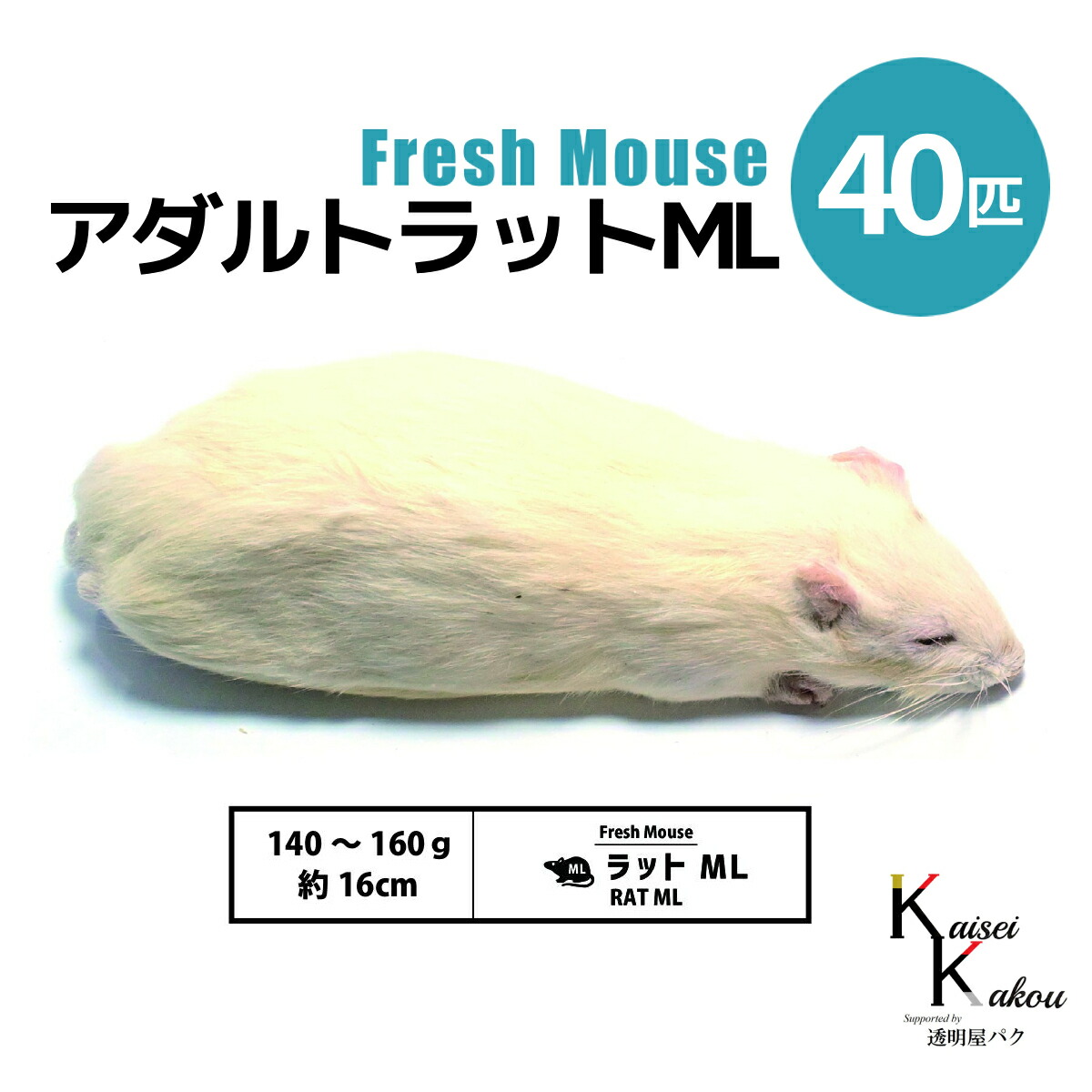 差し上げ物寄せあわせ 爬虫類・両生類-エサ