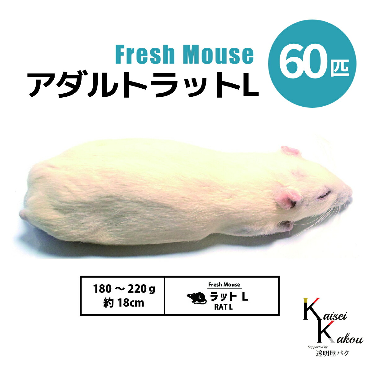「アダルトラットL 60匹 Biokimia 」 約18cm 180～220g 冷凍マウス 冷凍ラット フレッシュマウス フレッシュラット 冷凍餌 エサ えさ 爬虫類 両生類 猛禽類 大型魚 大型肉食魚｜カイセイ加工（透明屋パク）