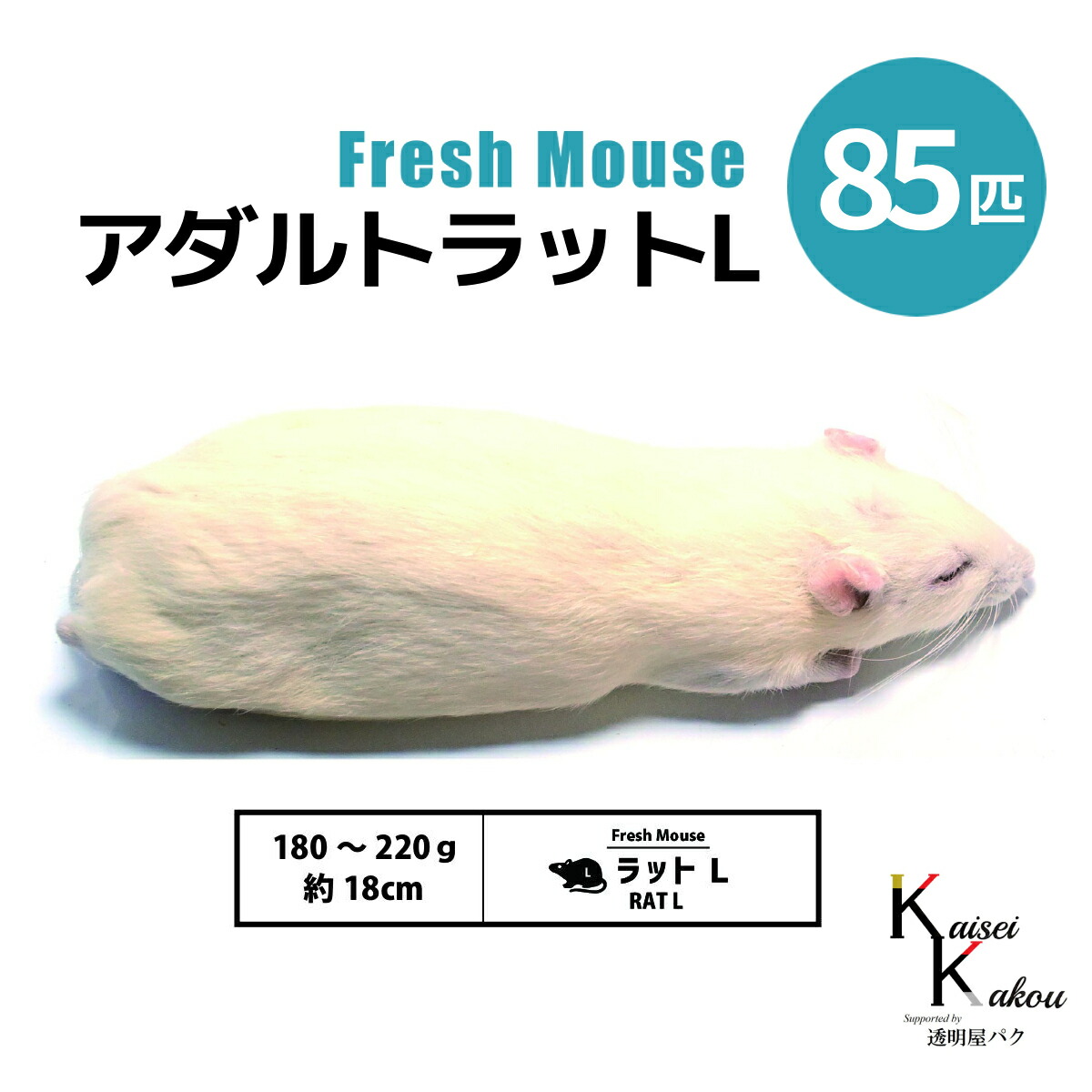 「アダルトラットL 85匹 Biokimia 」 約18cm 180～220g 冷凍マウス 冷凍ラット フレッシュマウス フレッシュラット 冷凍餌 エサ えさ 爬虫類 両生類 猛禽類 大型魚 大型肉食魚｜カイセイ加工（透明屋パク）