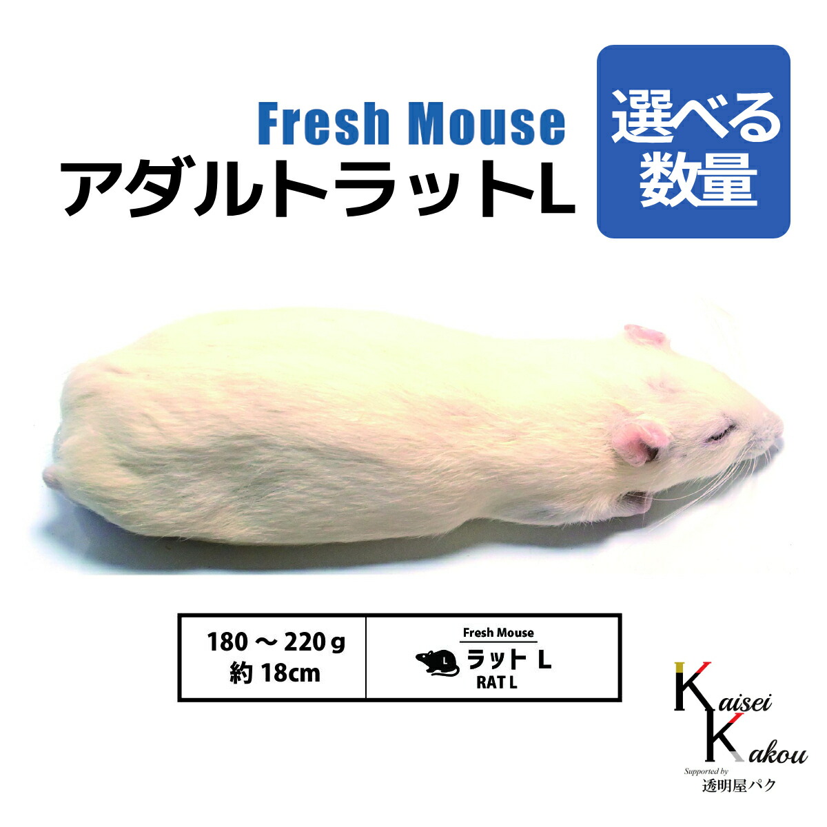 楽天市場】「アダルトマウスM 450匹(45袋) Biokimia 」 約7cm 20