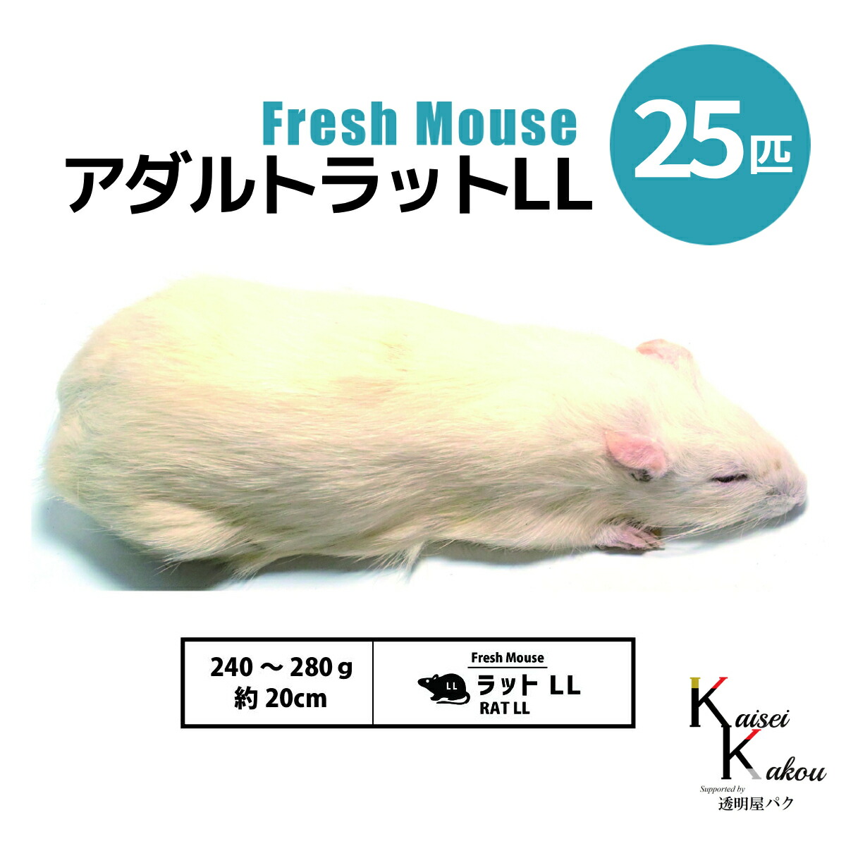 差し上げ物寄せあわせ エサ-ペット・ペットグッズ
