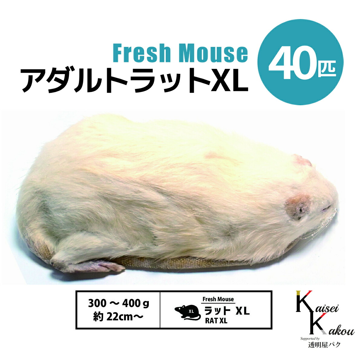 「アダルトラットXL 40匹 Biokimia 」 約22cm～ 300～400g 冷凍マウス 冷凍ラット フレッシュマウス フレッシュラット 冷凍餌 エサ えさ 爬虫類 両生類 猛禽類 大型魚 大型肉食魚｜カイセイ加工（透明屋パク）