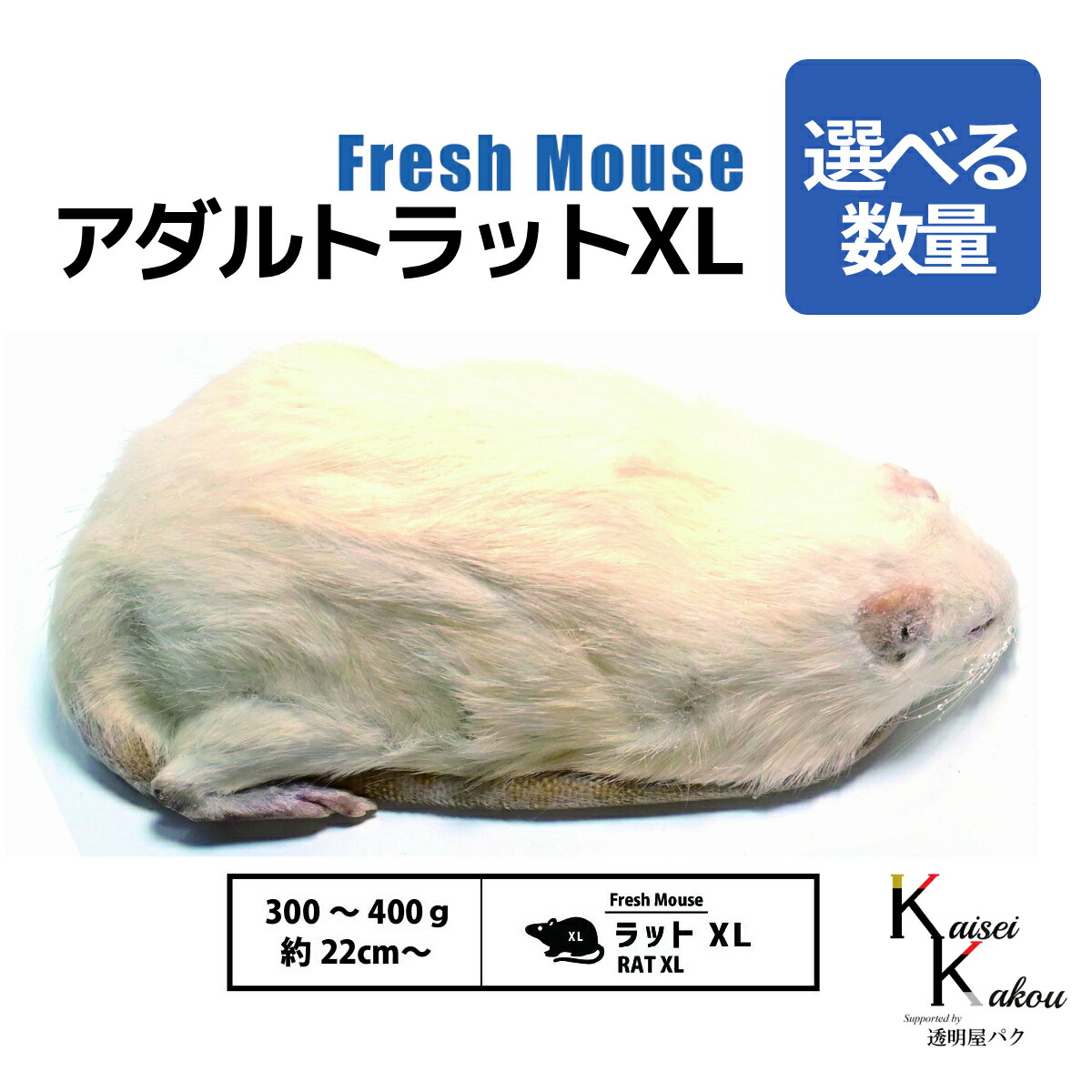 冷凍ラットアダルトS 60-80g 30匹 【公式通販】