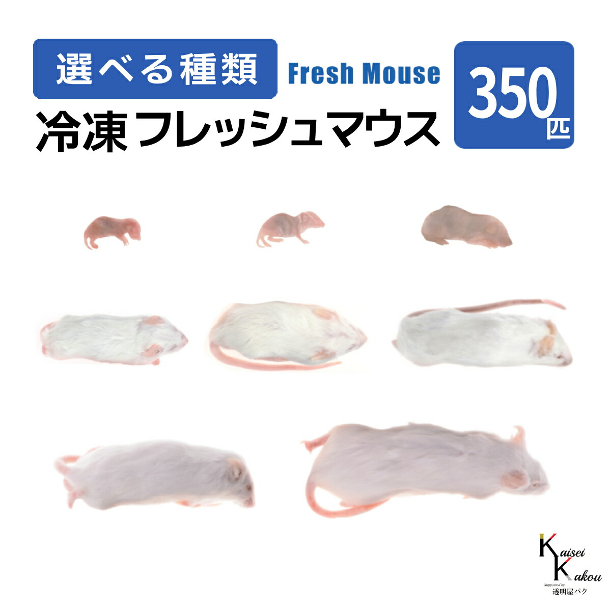「マウス 350匹 選べる種類 Biokimia 」 冷凍マウス 冷凍ラット フレッシュマウス フレッシュラット 冷凍餌 エサ えさ 爬虫類 両生類 猛禽類 大型魚 大型肉食魚|カイセイ加工(透明屋パク)