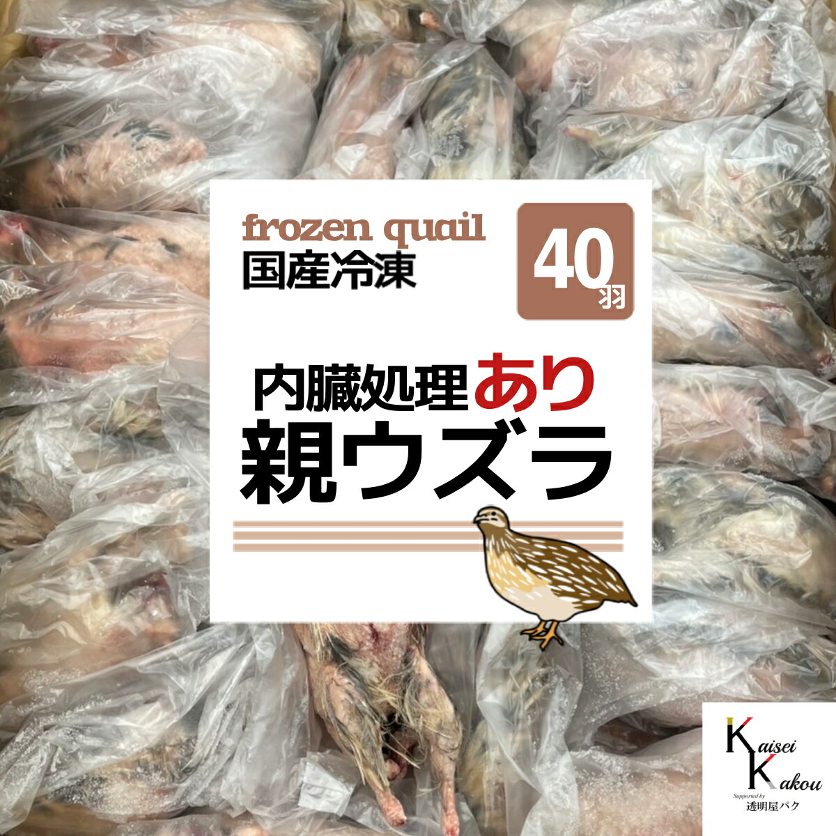 「内臓処理あり 冷凍 親ウズラ 40羽」 国産 ウズラ 処理済 冷凍ウズラ 冷凍餌 エサ えさ 猛禽類 フクロウ ハヤブサ タカ 爬虫類 両生類 大型魚 大型肉食魚|カイセイ加工(透明屋パク)