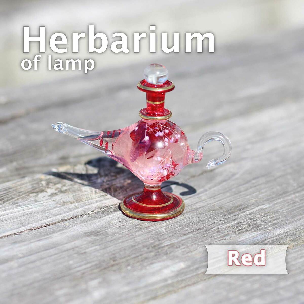 楽天市場】「ハーバリウム Mサイズ グリーン」 完成品 ガラス 瓶